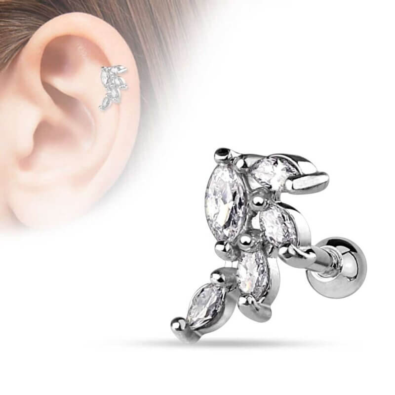 Marquise Tragus/Helix