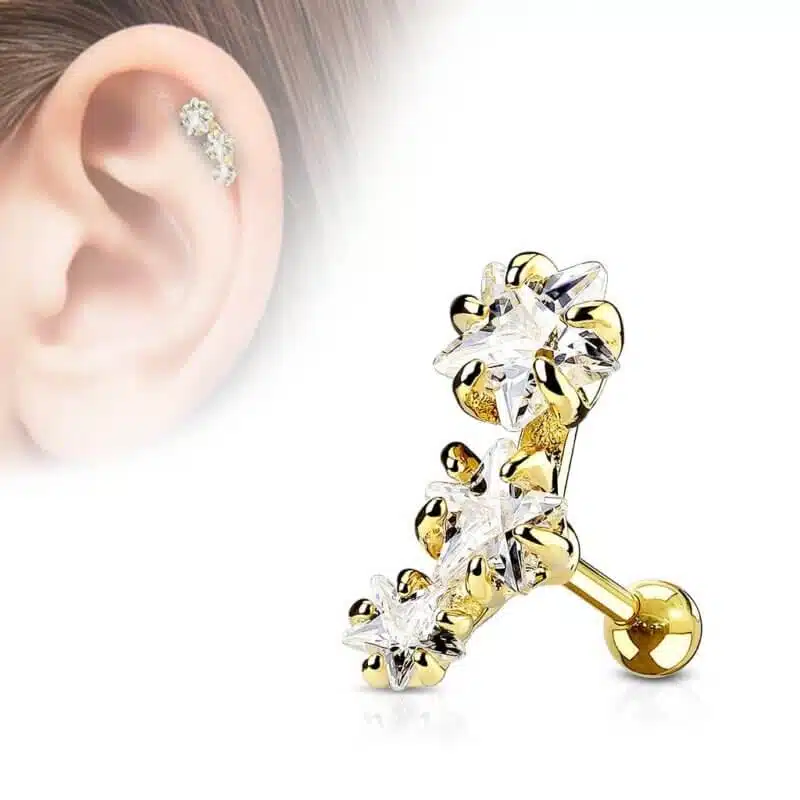 Tragus med tre stjärnor