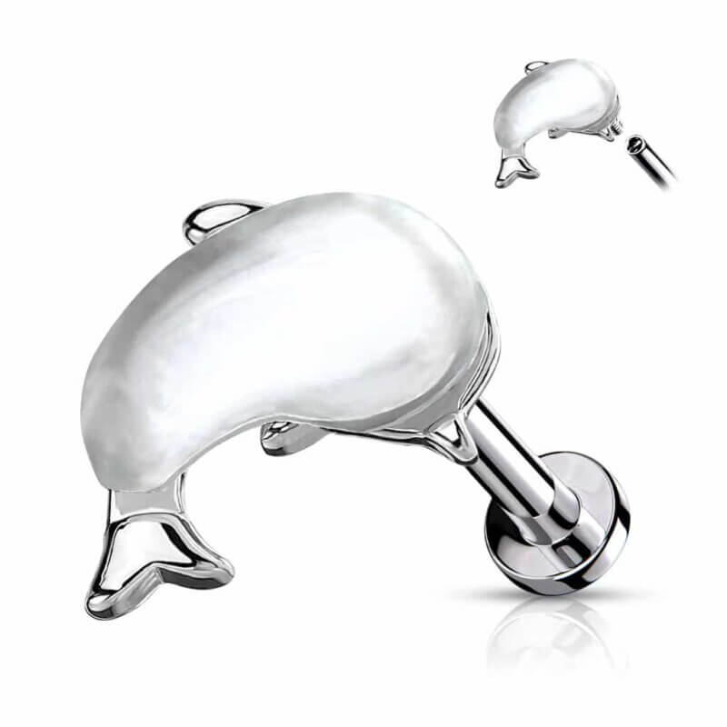 Shell set Whale Top Labret, Monroe, Cartilage Stud Rings