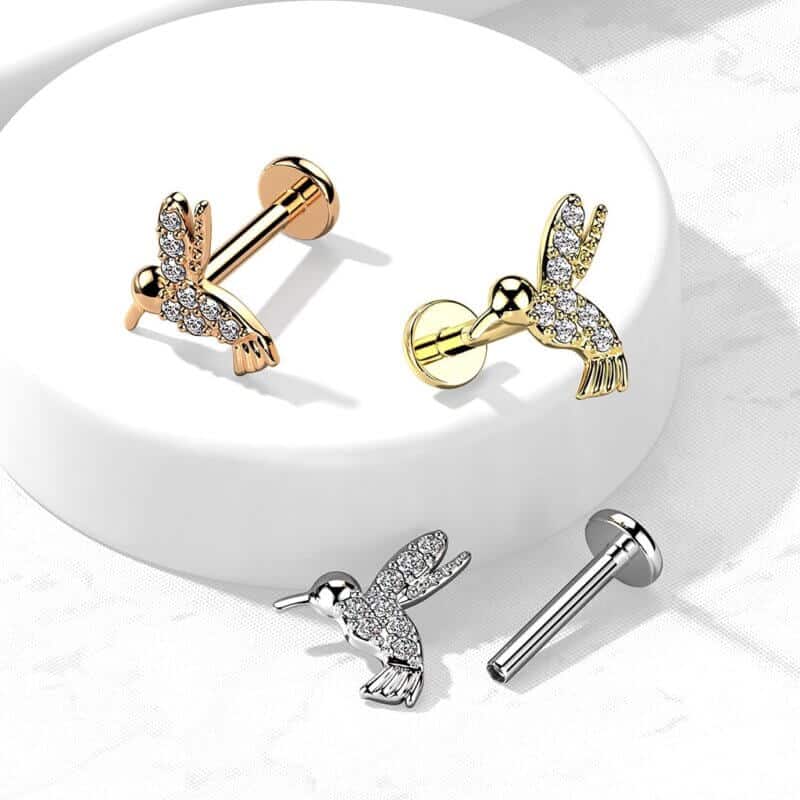 Hummingbird Labret, Monroe, Cartilage Stud Rings