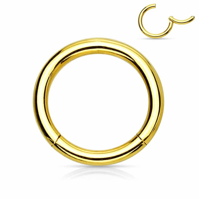 High Quality Precision 316L Surgical Steel Hinged Segment Ring Gold