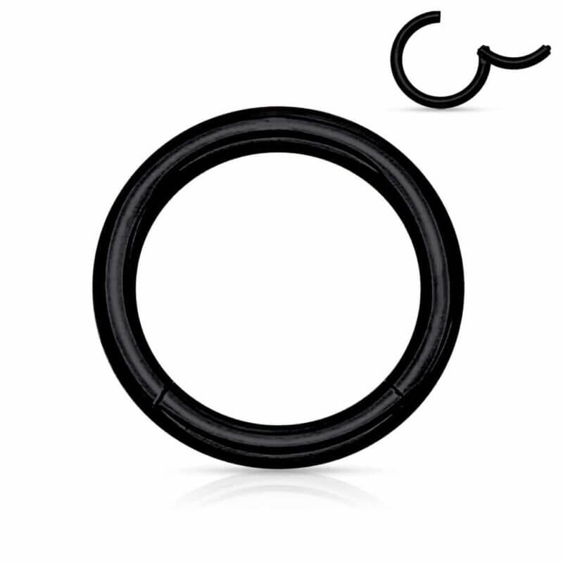 High Quality Precision 316L Surgical Steel Hinged Segment Ring Black