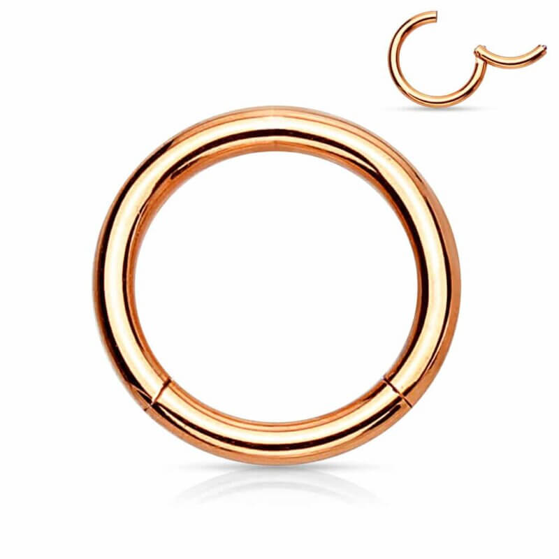 High Quality Precision 316L Surgical Steel Hinged Segment Ring Rosegold