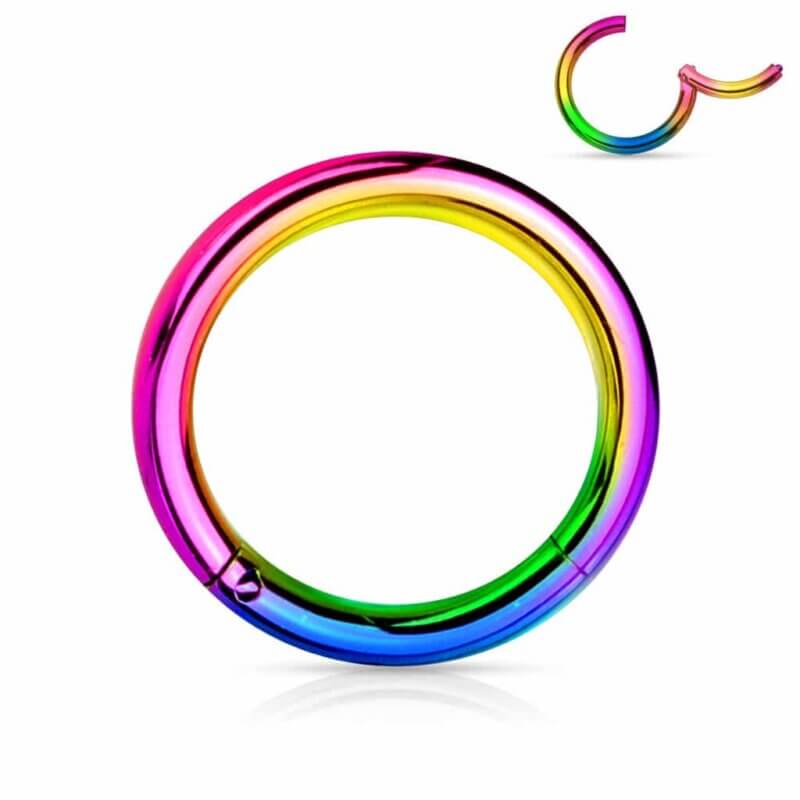 High Quality Precision 316L Surgical Steel Hinged Segment Rings Rainbow