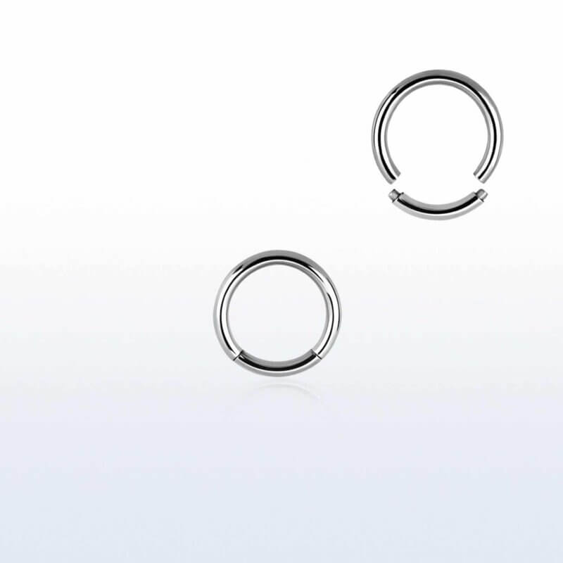 High Polished Segment Ring 1 mm