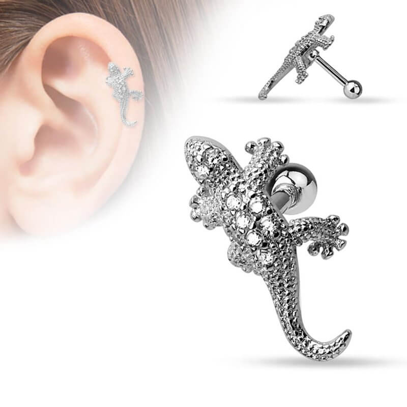 Tragus med ödla